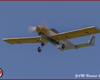 TSR Watermark - 0464